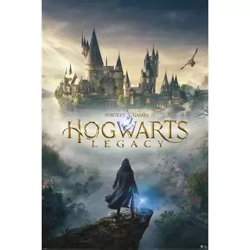 Hogwarts Legacy Poszter Wizarding World Universe 61 x 91 cm