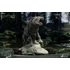 Kép 4/8 - Wonders of the Wild Series Statue Dire Wolf 28 cm