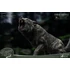 Kép 6/8 - Wonders of the Wild Series Statue Dire Wolf 28 cm