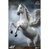 Kép 13/21 - Ray Harryhausen Statue Pegasus: The Flying Horse 2.0 Deluxe Version 45 cm