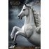 Kép 15/21 - Ray Harryhausen Statue Pegasus: The Flying Horse 2.0 Deluxe Version 45 cm