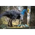 Kép 7/11 - Wonders of the Wild  Statue Oviraptor (re-run) 32 cm