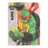 Kép 3/9 - Teenage Mutant Ninja Turtles BST AXN Action Figure Raphael (IDW Comics) 13 cm