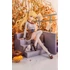 Kép 4/11 - Tricolour Lovestory PVC Statue 1/7 Te Chi Guo 25 cm