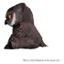 Kép 4/7 - Dungeons & Dragons Replicas of the Realms Life-Size Statue Baby Owlbear 28 cm